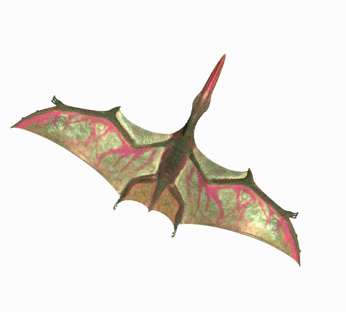 Pterodactylus - rigged, animated preview image 1